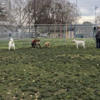 Dog Park at Larry J. Marsalli Park photo 2